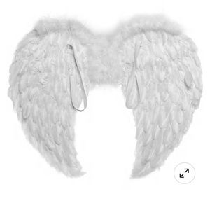 Angel Accessories.